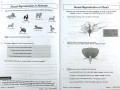 KS2 Science Year 5 Workout Bundle