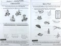 KS2 Science Year 6 Workout Bundle