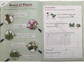 KS1 Discover & Learn: Science - Study & Activity Book, Year 1