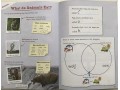 KS1 Discover & Learn: Science - Study & Activity Book, Year 1