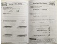 KS1 Science Year 2 Workout Bundle