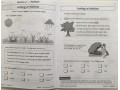 KS1 Science Year 2 Workout Bundle