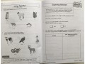 KS1 Science Year 2 Workout Bundle