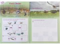 KS1 Discover & Learn: Science - Study & Activity Book, Year 2