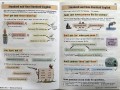 English: Grammar, Punctuation and Spelling Study Book - Ages 7-11 KS2
