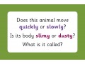 Vocabulary Flashcards for Ages 3-5