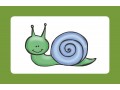 Vocabulary Flashcards for Ages 3-5