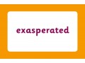 Vocabulary Flashcards for Ages 9-11