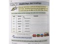   Word Power Year 4 KS2