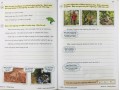   English Writing Targeted Question Book - Year 3 KS2