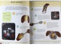 My First Camping Book