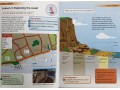 Collins Primary Geography Pupil Book. Movement 4