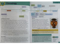 Collins Primary History Pupil Book. Ancient Greece Collins Primary History Pupil Book. Ancient Greece