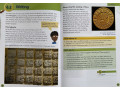 Collins Primary History Pupil Book. The Maya Collins Primary History Pupil Book. The Maya