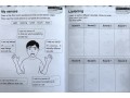 International Primary Science Student's Book + Workbook: Stage 1