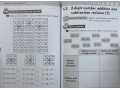 The Shanghai Maths Project. Practice Book 2A 