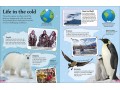 DK findout! Arctic and Antarctic