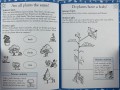 Science Made Easy, Ages 5-6 (Key Stage 1)