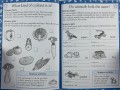 Science Made Easy, Ages 5-6 (Key Stage 1)