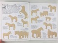 Horses. The Ultimate Glow in the Dark Sticker Book