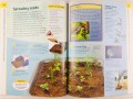 DK Nature Ranger Eyewitness Explorer