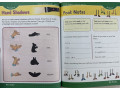 Skill Sharpeners Critical Thinking, Grade 2 Skill Sharpeners Critical Thinking, Grade 2