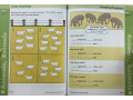 Skill Sharpeners Math, Grade 2 Skill Sharpeners Math, Grade 2