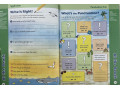 Skill Sharpeners Grammar and Punctuation, Grade 2 Skill Sharpeners Grammar and Punctuation, Grade 2
