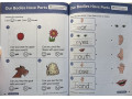 Smart Start STEM, Grade PreK