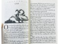 The Trumpet of the Swan