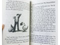 The Trumpet of the Swan