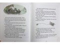 The Complete Brambly Hedge