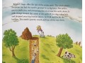 Let's Read and Find Out Science (Set 10)
