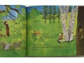 Let's Read and Find Out Science (Set 11)