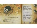 Let's Read and Find Out Science (Set 17)