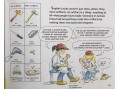 Let's Read and Find Out Science (Set 3)