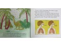 Let's Read and Find Out Science (Set 6)