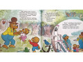 The Berenstain Bears 28 Picture Books Collection The Berenstain Bears 28 Picture Books Collection