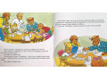 The Berenstain Bears 28 Picture Books Collection The Berenstain Bears 28 Picture Books Collection