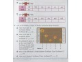 Letts KS2 Arithmetic Age 8-9 SATs Practice Workbook