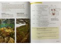 Reading Explorer. Levels: Foundation, 1, 2, 3, 4, 5. Collection