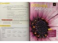 Reading Explorer 2
