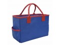 Teacher's Handbag. Portable Storage Organizer. Blue/Red