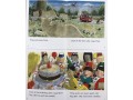 Oxford Story Tree Levels 1-3. 52 Books Boxed Set