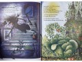 Winnie the Witch 14 Books Collection