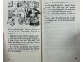 Cam Jansen. 34 Books Collection