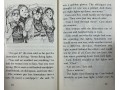 Cam Jansen. 34 Books Collection
