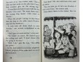 Cam Jansen. 34 Books Collection
