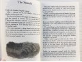 Roald Dahl 20 Books Collection