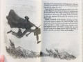 Roald Dahl 20 Books Collection